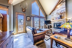TV, fireplace, DVD player