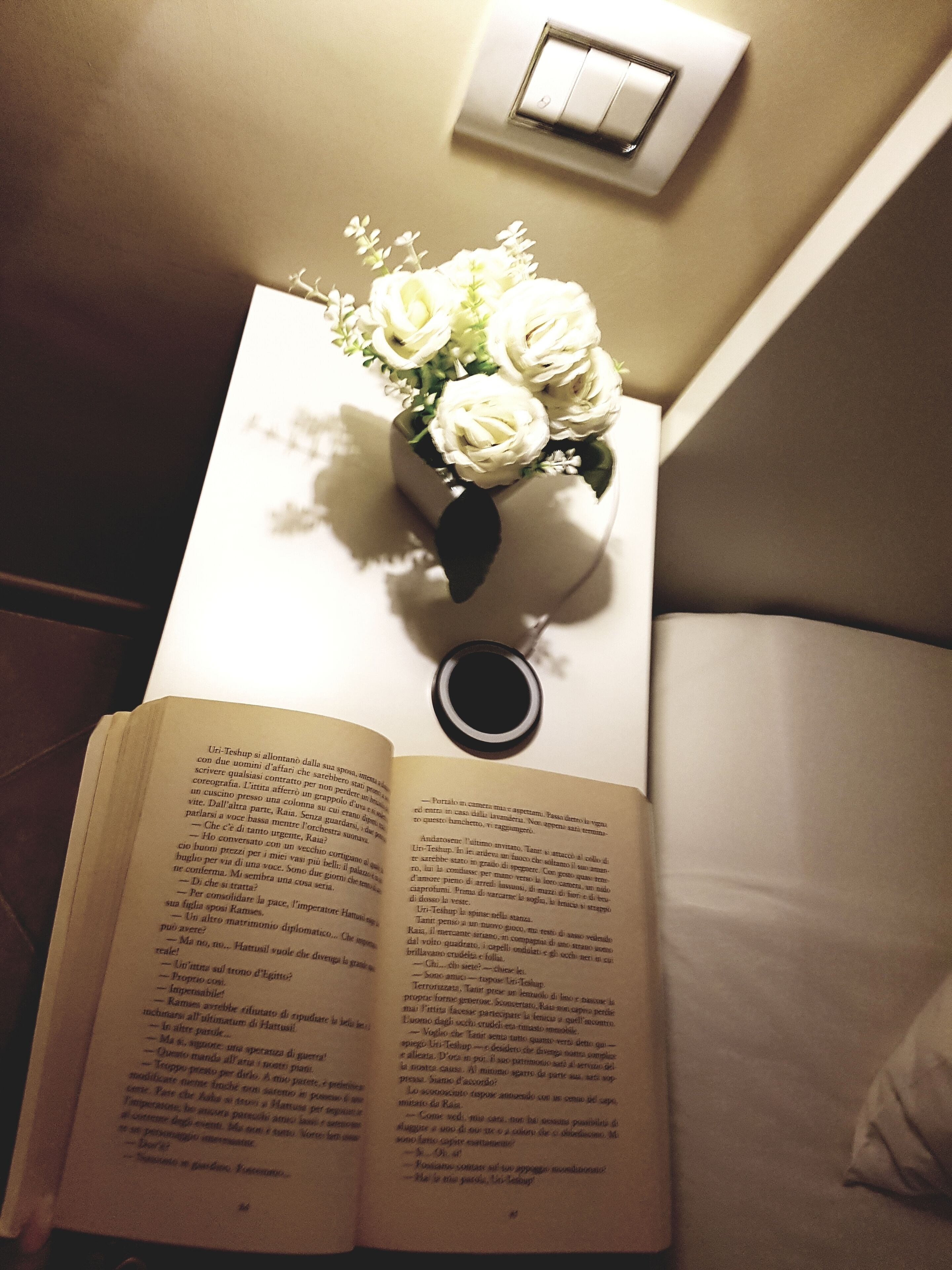 Hårtork, bidé och handdukar