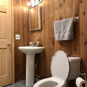Ensemble douche/baignoire, sèche-cheveux, serviettes fournies, savon