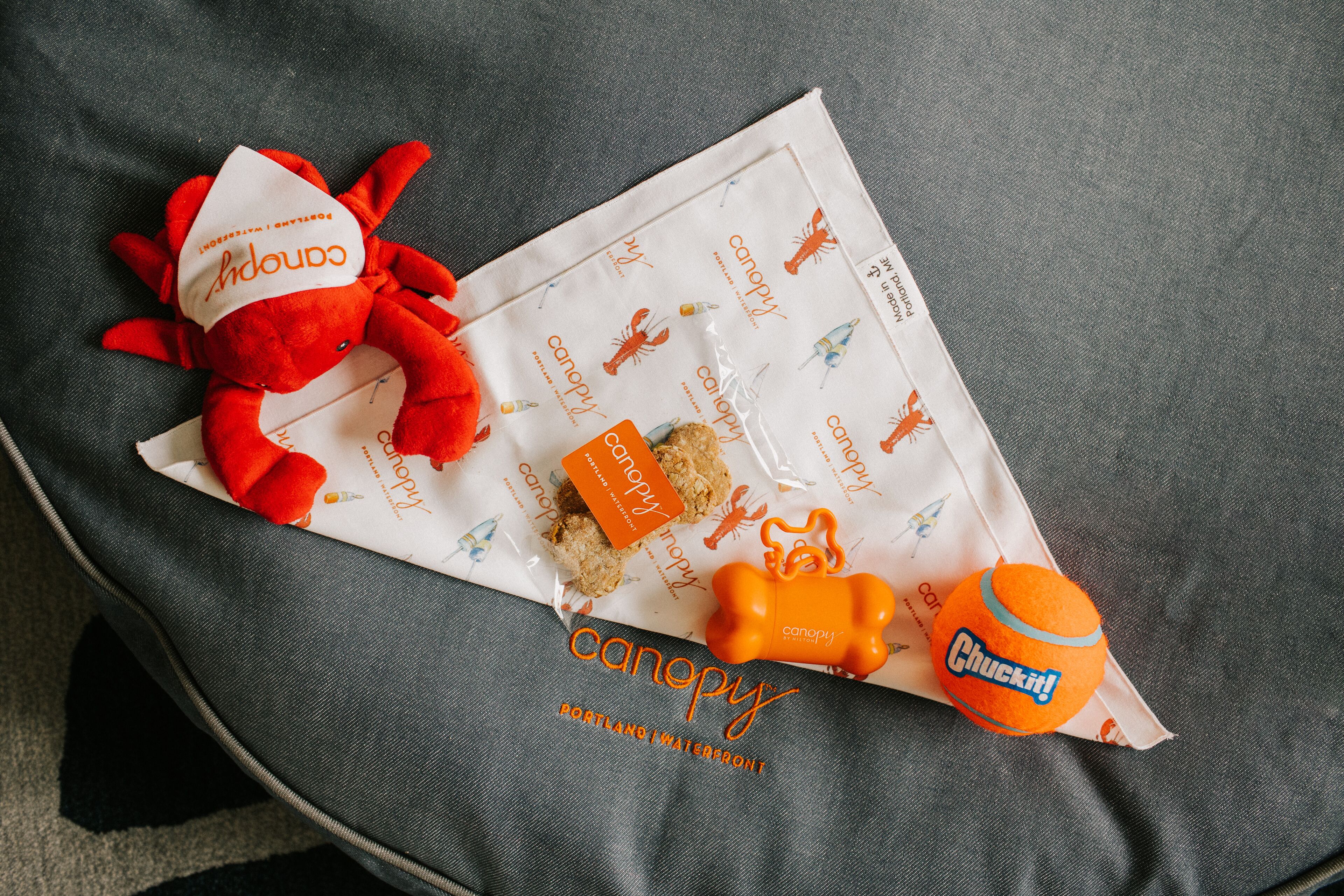 pet-friendly amenities