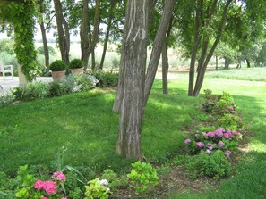 Parco della struttura