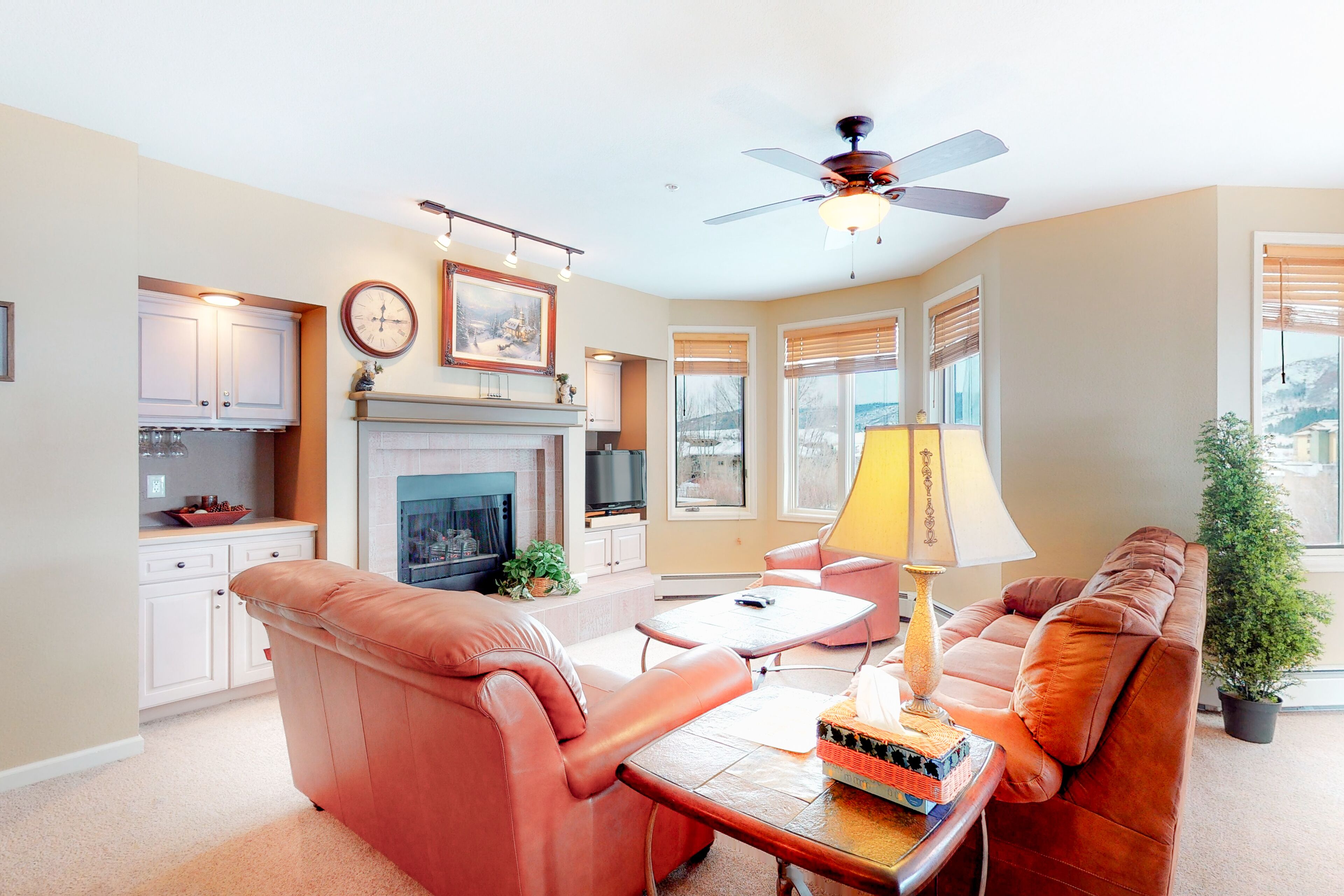 TV, fireplace, DVD player