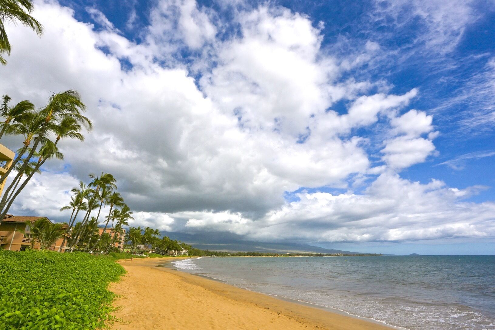 A beach with palm trees, a sandy shore, and a view of the ocean under a partly cloudy sky.