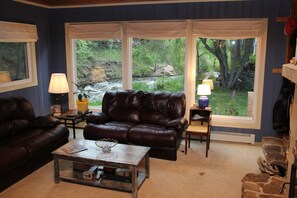 スマートテレビ、暖炉、書庫、ステレオ