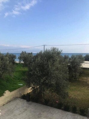 Property grounds - Amalfi Complex-first floor (Κάτω Αλμυρή)