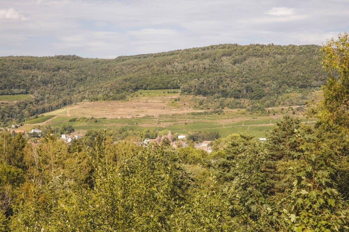 Ländliche Landschaft mit einem Tal, verstreuten Häusern und dichtem Wald.
