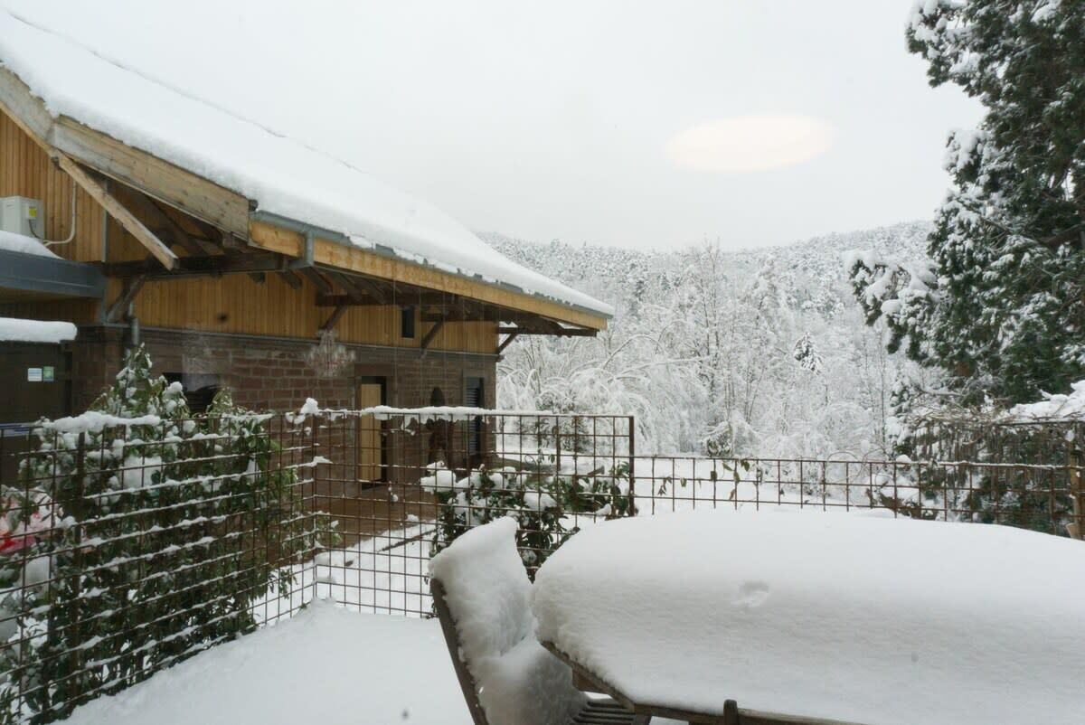 A wooden building with a snow-covered roof and a fenced garden area.