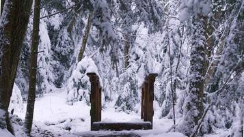 A snow-covered stone structure in a forest.