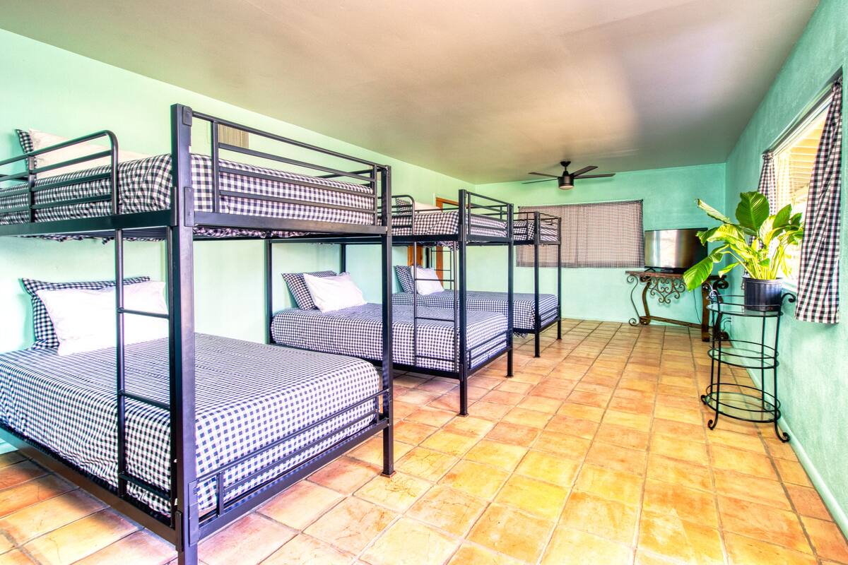A dormitory room with bunk beds, a ceiling fan, a window with blinds, and a potted plant.