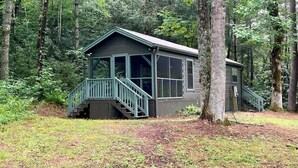 A cabin with a porch and stairs, surrounded by trees. - Fabulous Cabin Near Falls, Hiking, and Fly-Fishing (Brevard)