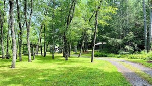 A forested area with a gravel path leading to a building with a covered structure. - Fabulous Cabin Near Falls, Hiking, and Fly-Fishing (Brevard)