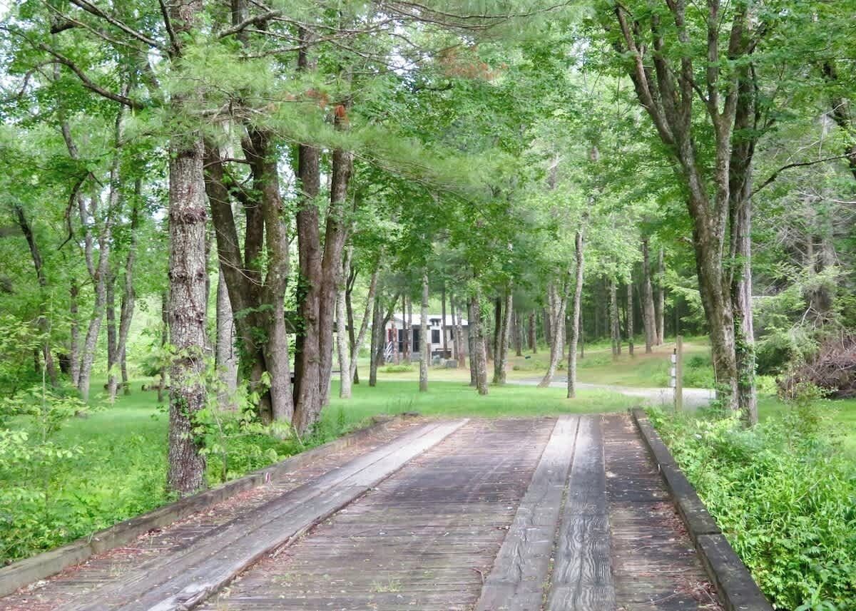 A wooden pathway leading through a forested area with tall trees and a building in the distance.