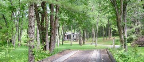 A wooden pathway leading through a forested area with tall trees and a building in the distance.