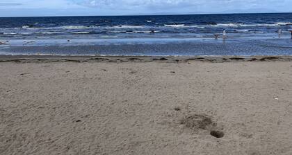 Ayr Holiday Apartment