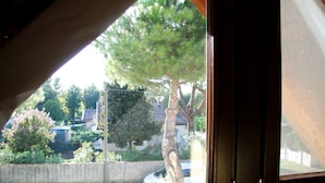Vista a través de una ventana donde se ve un árbol y un coche.