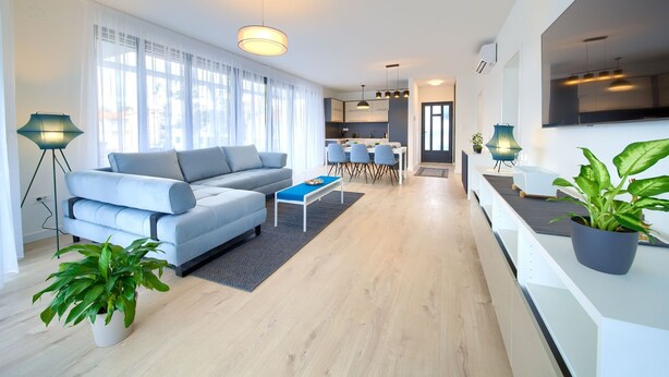 A modern living room with a sofa, a coffee table, and potted plants. There is a dining area with chairs and a table in the background.