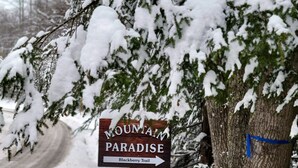A wooden sign with white lettering indicating 'Mountain Paradise' and 'Blackberry Trail' to the right.