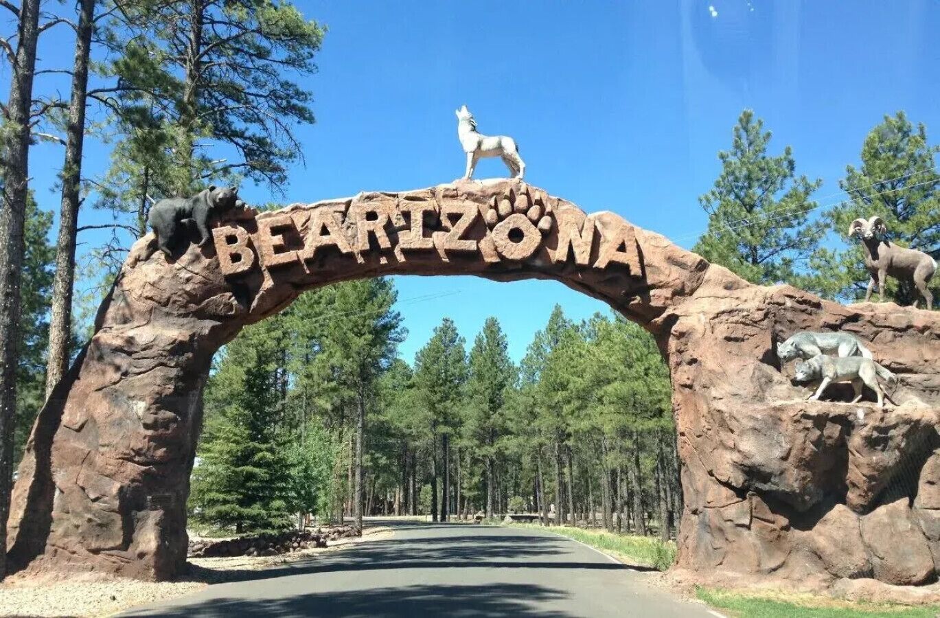 Bearizona less than 10 mins away
