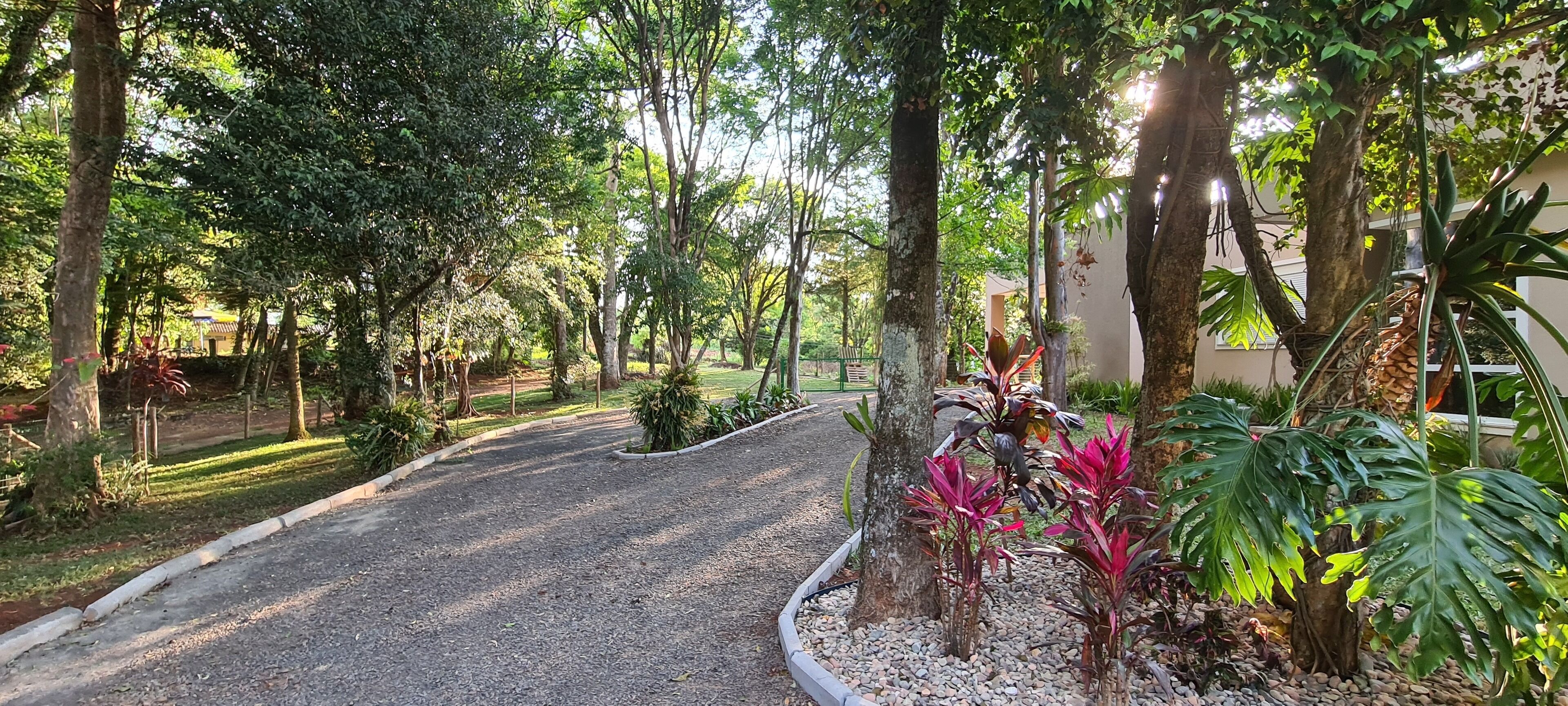 Un camino de grava conduce a un edificio rodeado de exuberante follaje y árboles.