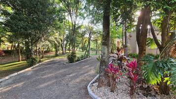 Un camino de grava conduce a un edificio rodeado de exuberante follaje y árboles.