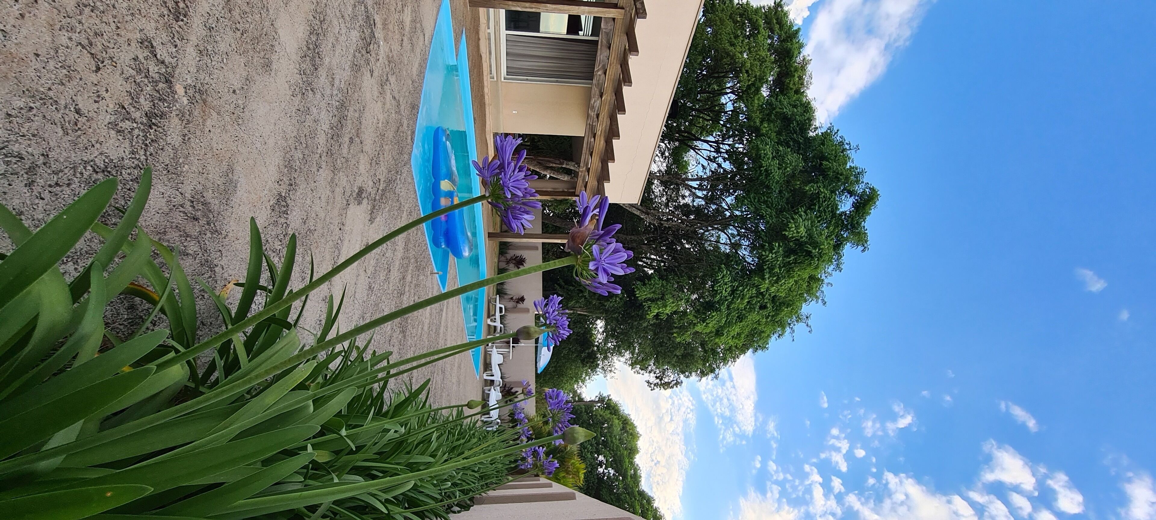 Udendørs pool