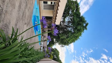 Udendørs pool