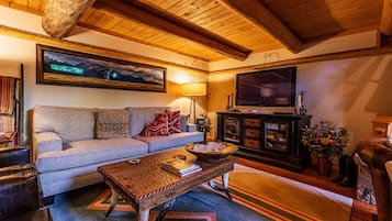 Smart TV, fireplace, video games, DVD player