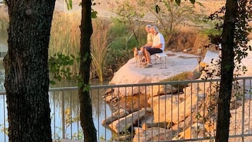 Jardines del alojamiento