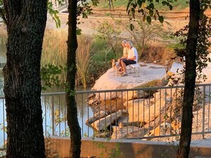 Property grounds - Inspiration Cabin at Lake Godstone (Graford)
