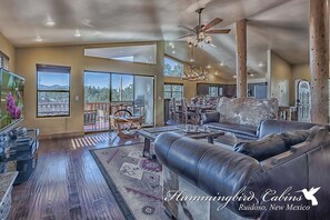 TV, fireplace, DVD player