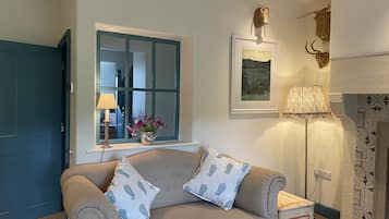 Télévision, cheminée, lecteur de DVD