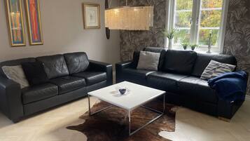 智能电视、壁炉、立体声音响