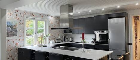 KĂŒhlschrank, Mikrowelle, Ofen, Herdplatte