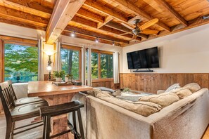 TV, fireplace, books
