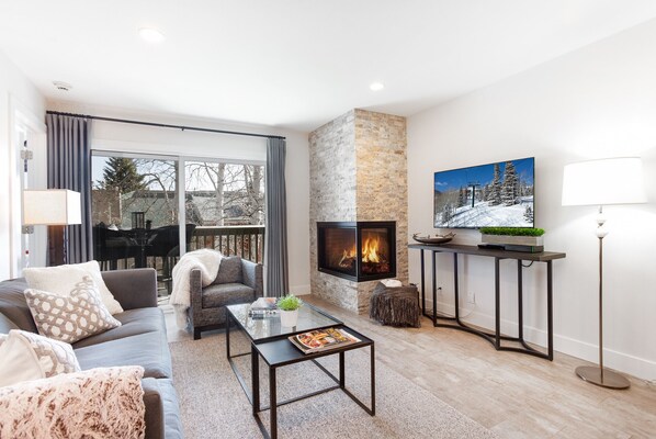 Smart TV, chimenea, reproductor de DVD y libros 