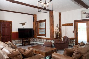 TV connectée, cheminée, lecteur de DVD, livres