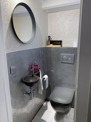 Shower, hair dryer