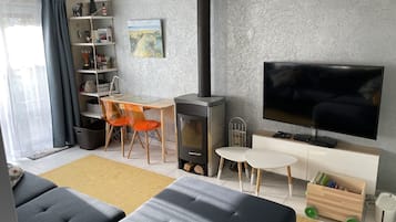 Smart TV, fireplace, books, video library