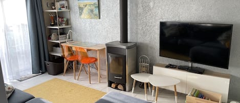 Smart TV, fireplace, books, video library