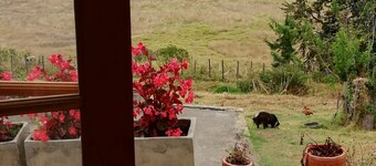 El Cascajal: Amazing Lake View