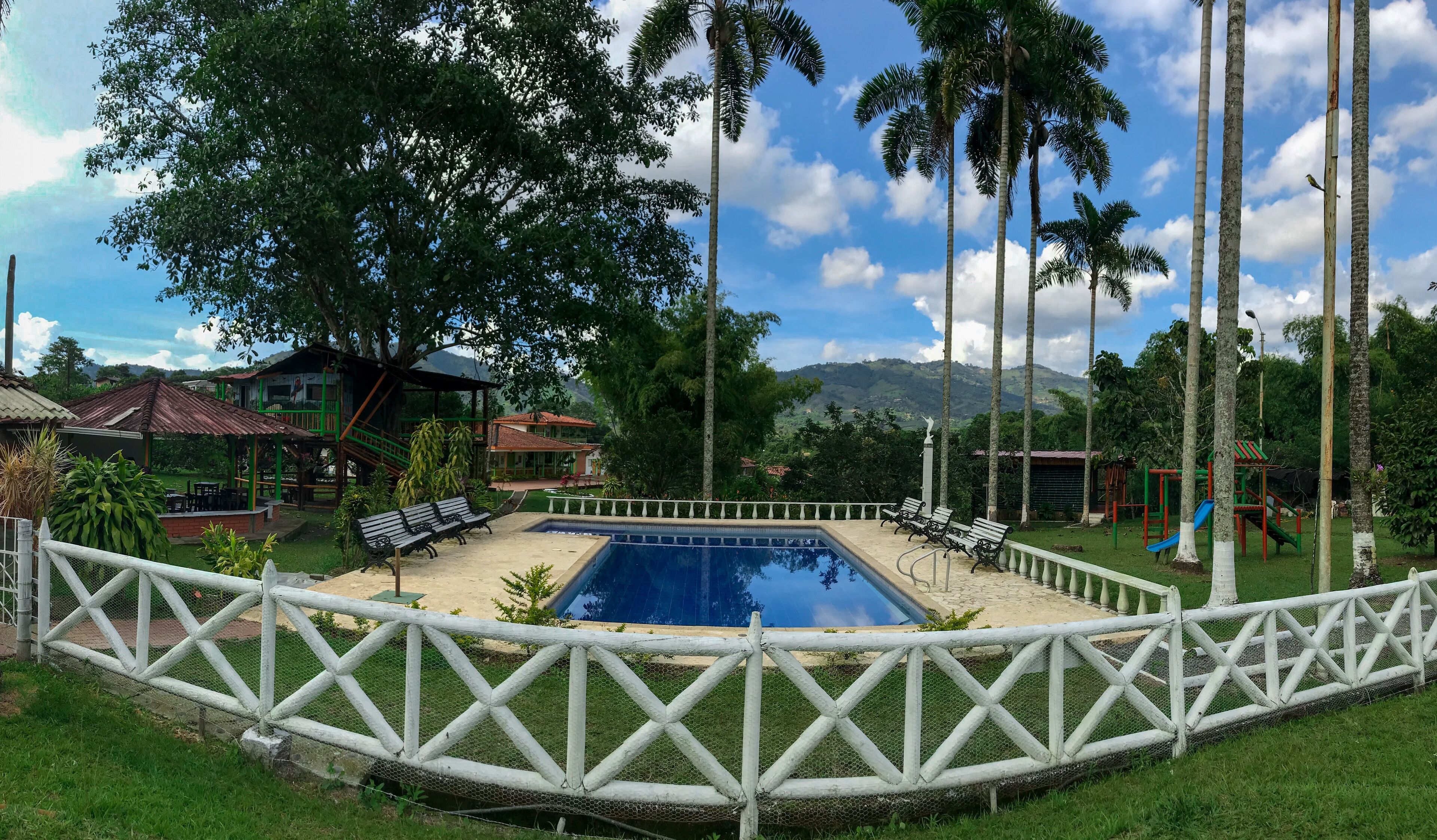A pool area with a white fence, benches, and palm trees.