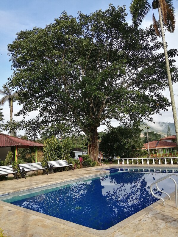 Piscine