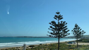 Vista costera con playa, océano y dos árboles destacados.