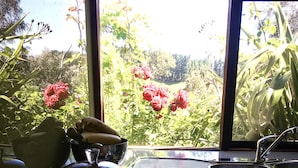 Une cuisine avec une grande fenêtre, un évier et divers aliments disposés sur le plan de travail.