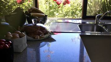 Fridge, oven, stovetop, coffee/tea maker