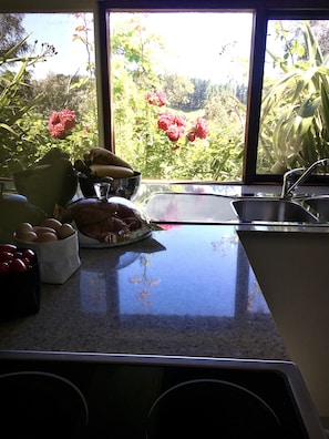 Refrigerador, horno, parrilla de estufa y cafetera y tetera