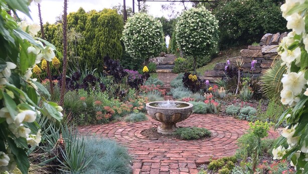 Un sentier de jardin avec une fontaine centrale, entouré de différentes plantes et arbustes.