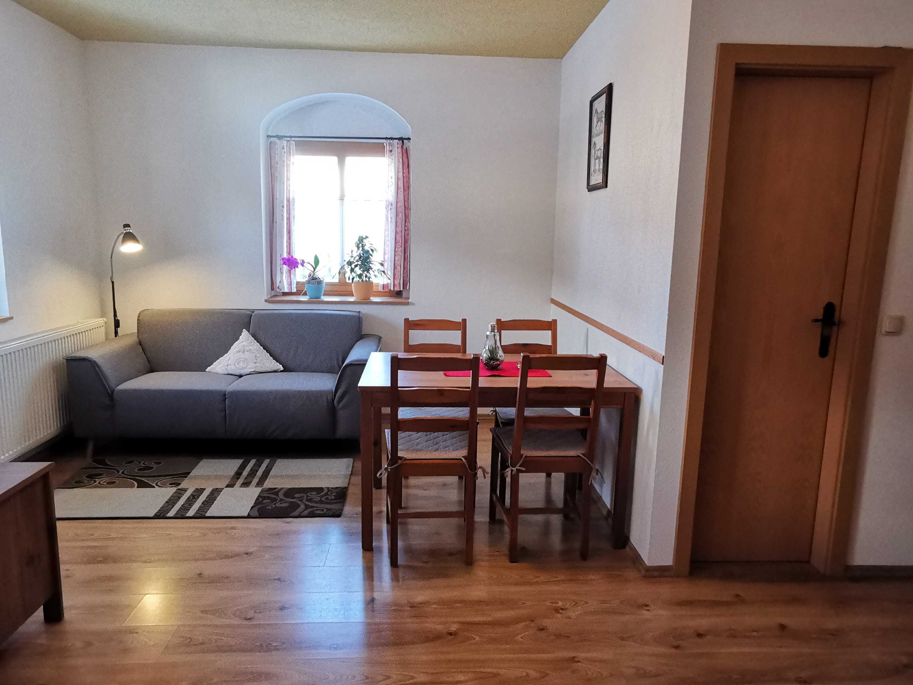 Een gezellige woonkamer met een grijze bank, een houten eettafel en stoelen. Er is een raam met gordijnen, een radiator en een deur.