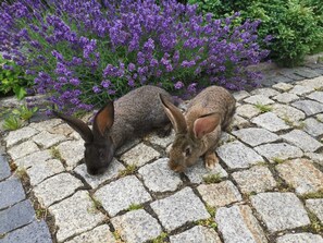 Unclassified image, 2 of 22, button