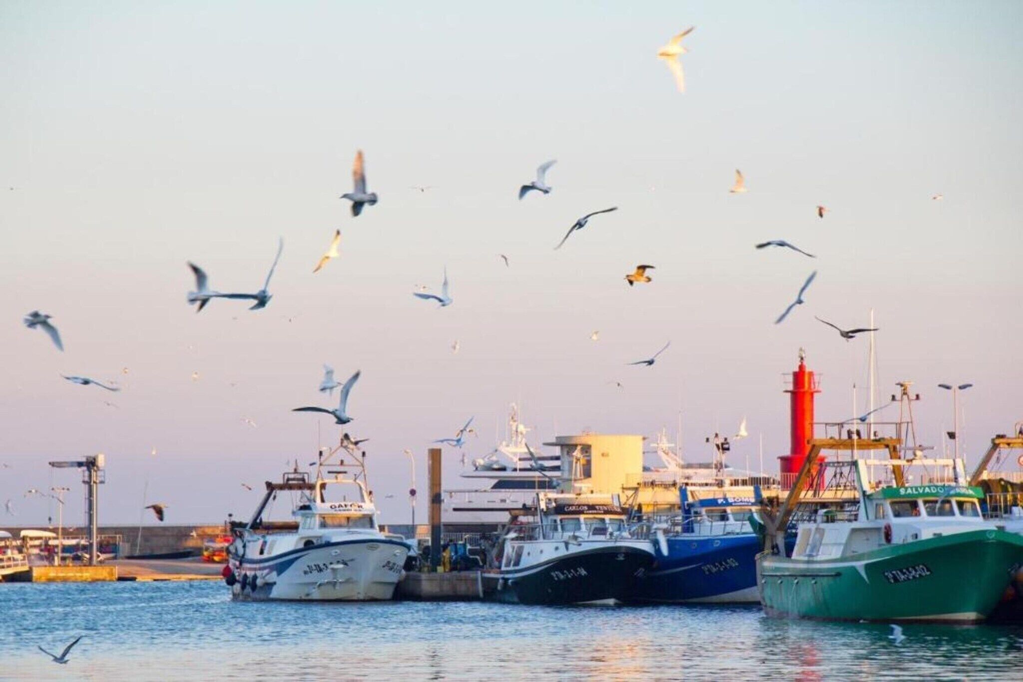 A harbor with boats docked and seagulls flying.